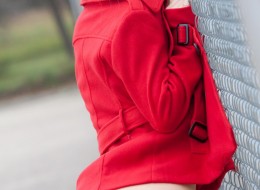 Ashlynn Brooke przy płocie (3)