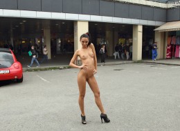 Czarnulka na spacerze (4)