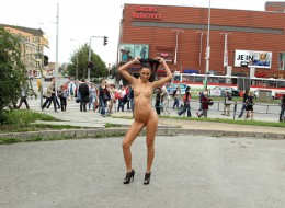 Czarnulka na spacerze (5)