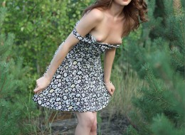 Damulka w lesie (10)