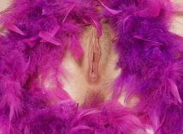 Muszelkowe łoże (1)