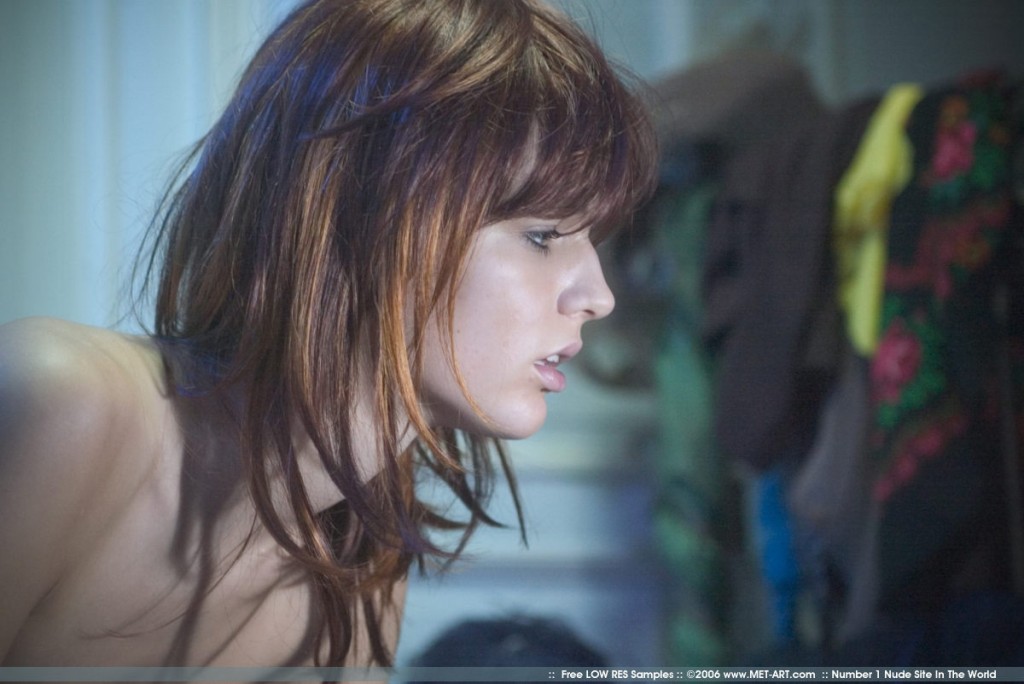 Sypialnia w półmroku (9)